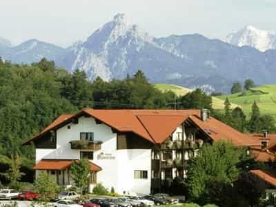 Alpenrose Alpenrose