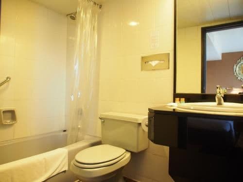 Deluxe Queen or Twin Room with Garden View