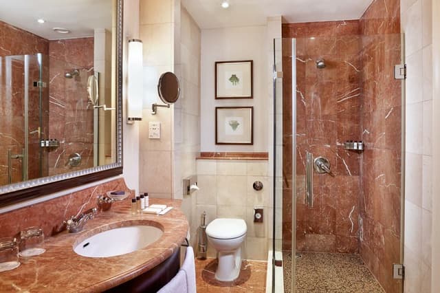 SUITE DELUXE