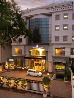 Golden Tulip Golden Tulip