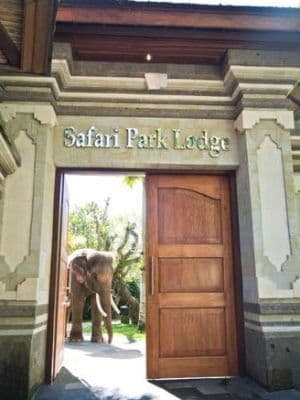 Elephant Safari Park and Lodge Elephant Safari Park and Lodge