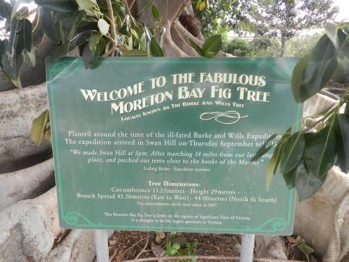 ทราเวลเลอร์ เรสต์ มอเตอร์ อินน์ (Travellers Rest Motor Inn)1