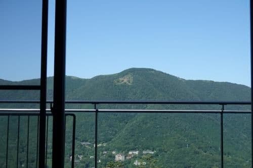 Japanese-Style Deluxe Room with Mountain View
