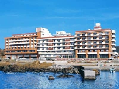 Hotel Nankaiso Hotel Nankaiso