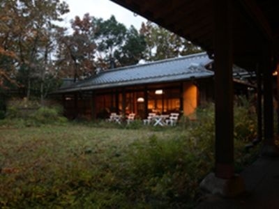 Tamanoyu1