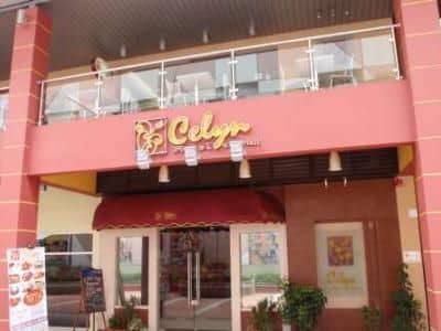 Celyn City Mall Celyn City Mall
