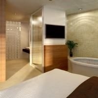 Gansevoort3
