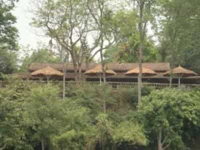 Safari Narayani Lodge Safari Narayani Lodge