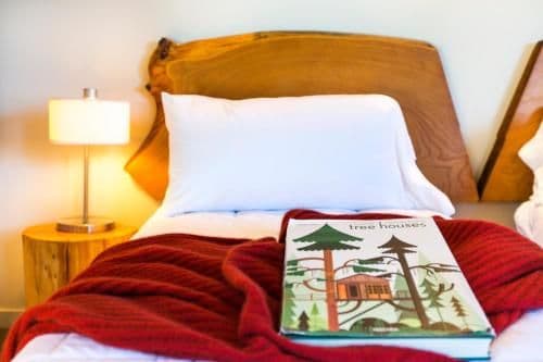 Superior Family Suite - Tree House