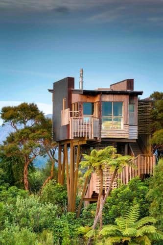 Superior Double or Twin Suite - Tree House