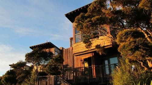 Superior Family Suite - Tree House