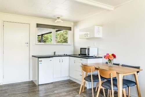 Large One-Bedroom Apartment