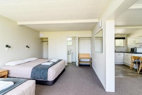 Large One-Bedroom Apartment