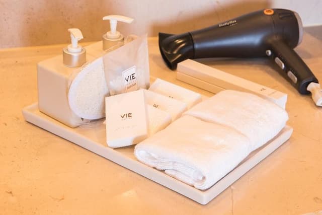 SUITE DELUXE