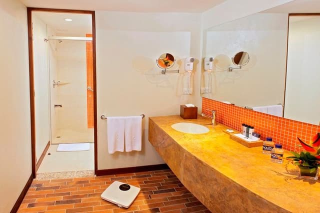 DOUBLE DELUXE OCEAN VIEW