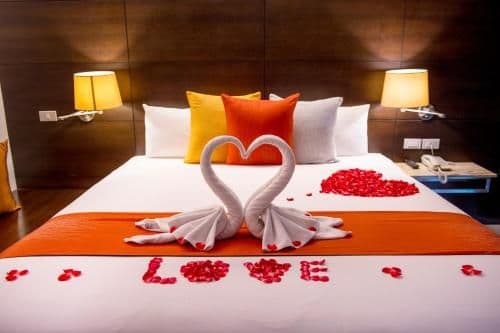 Superior Double or Twin Room