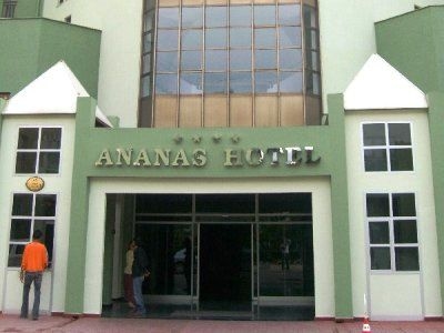 Ananas1