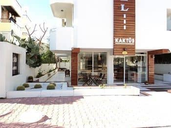 Kaktus Apart And Hotel Kaktus Apart And Hotel