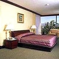 Wyndham San Jose Herradura2