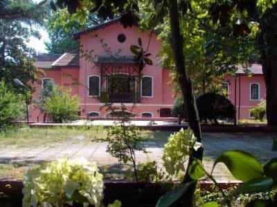 Thermal Cinar