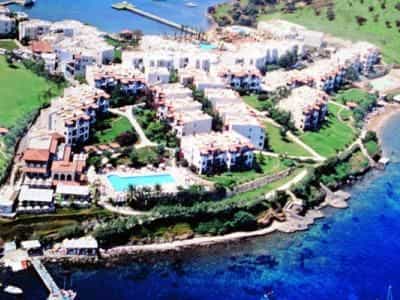Club Flipper