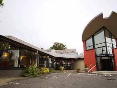 Best Western White Horse