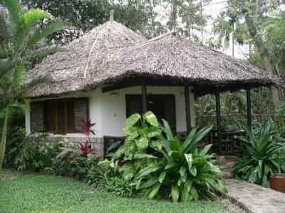 Mai House Mai House