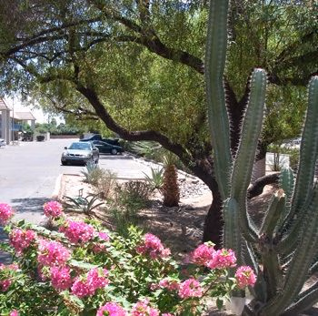 BEST WESTERN MESA INN1