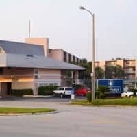 Blue Palm Hotel Blue Palm Hotel