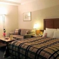 Crowne Plaza Brussels Airport1