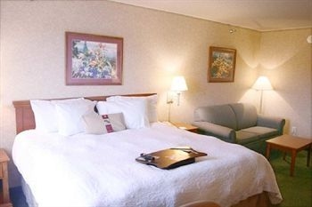 Hampton Inn Detroit Belleville Arpt Area2