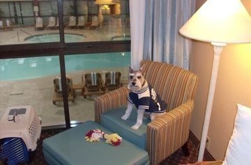 Holiday Inn Northeast4