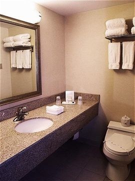 HOLIDAY INN ST. LOUIS-AIRPORT (OAKLAND PK)2