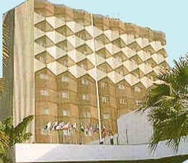 Golden Tulip2