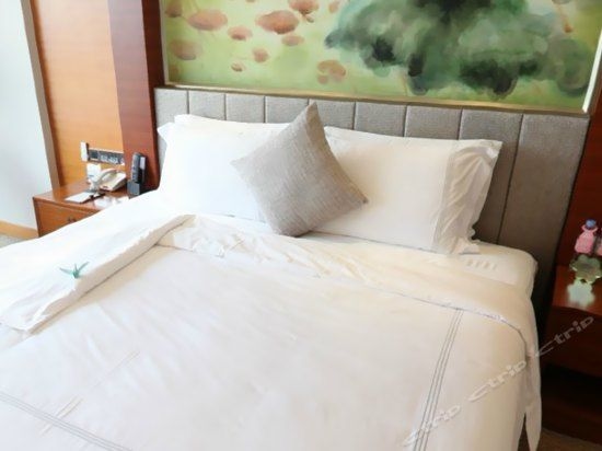 Grand Skylight International Guanlan4