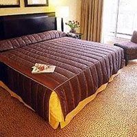 วอริค ปารีส (วอริคชองเอลิเซเดิม) (Warwick Paris (Former Warwick Champs-Elysees))1