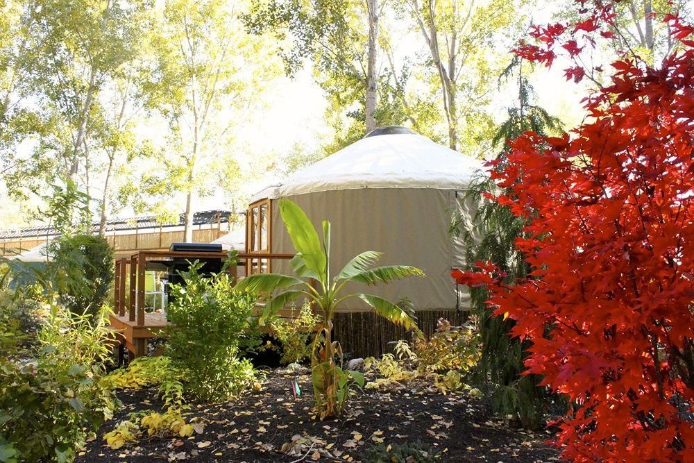 Barefoot Beach Resort3