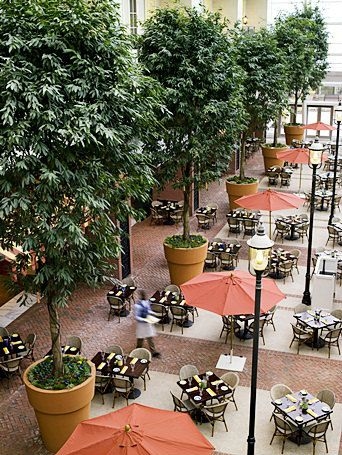 Gaylord National Resort & Convention Center4