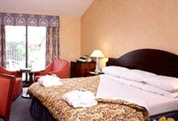 Copthorne Hotel Effingham Gatwick3