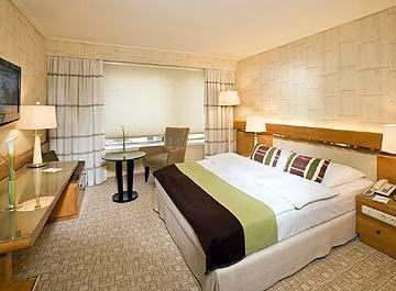 Hotel Nikko Dusseldorf2