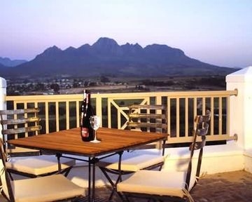 PROTEA STELLENBOSCH2