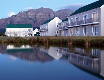 PROTEA STELLENBOSCH1