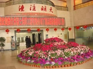 Zhonggang Mansion Qingdao4