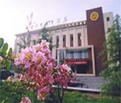 Tianxi C.sohoh Business1