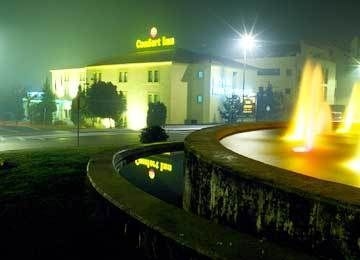 COMFORT INN1