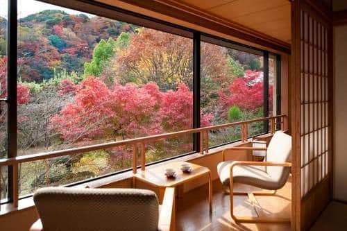 Superior Family Room