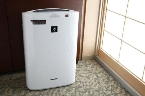 Executive Twin Room