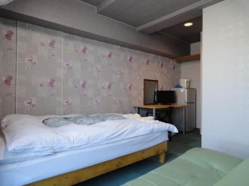 Double Room with Sofa Bed and Kitchenette