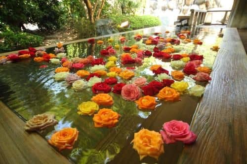 Ryokan Misasakan Ryokan Misasakan