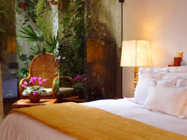 SUITE DELUXE
